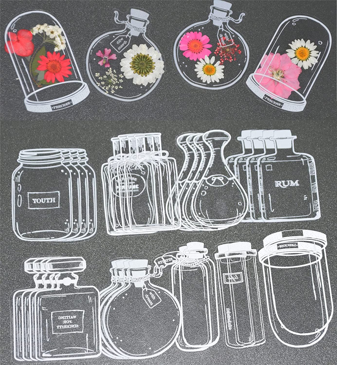 30Pcs DIY Transparent Dried Fl - đánh giá và giá Dried Flower Bookmark