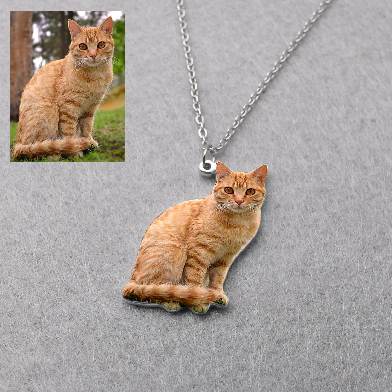 Personalized Pet Picture Neckl - đánh giá và giá Pet Portrait Custom