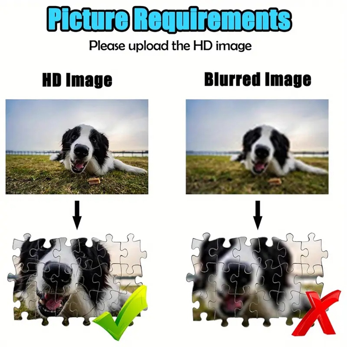 35/300/500/1000pcs Personalize - đánh giá và giá Pet Portrait Custom