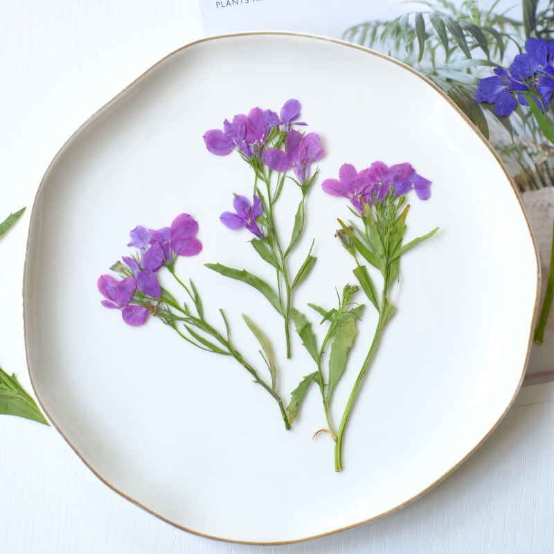6pcs/8-13cm,nature Lobelia Eri - đánh giá và giá Dried Flower Bookmark