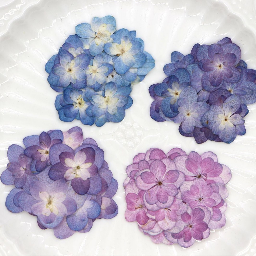 60Pcs Mini Double-Flowered Hyd - đánh giá và giá Dried Flower Bookmark