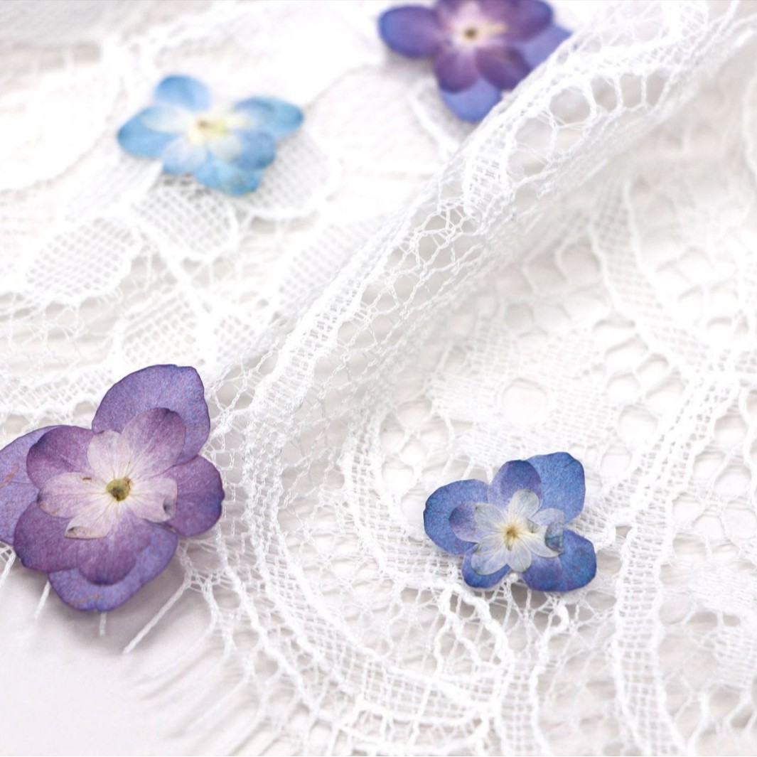 60Pcs Mini Double-Flowered Hyd - đánh giá và giá Dried Flower Bookmark